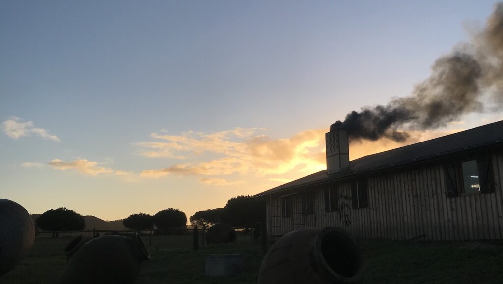 Community woodfiring at Clay Kitchen Portugal sunrise